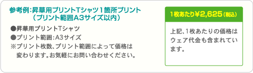 参考例:昇華用プリントTシャツ1箇所プリント(プリント範囲A3サイズ以内)1枚あたり ¥2,625(税込)